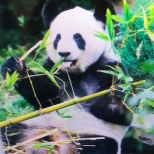 Meet your Posher, Natalie